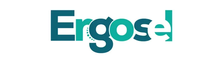 Ergosel consultoria de ergonomia empresa